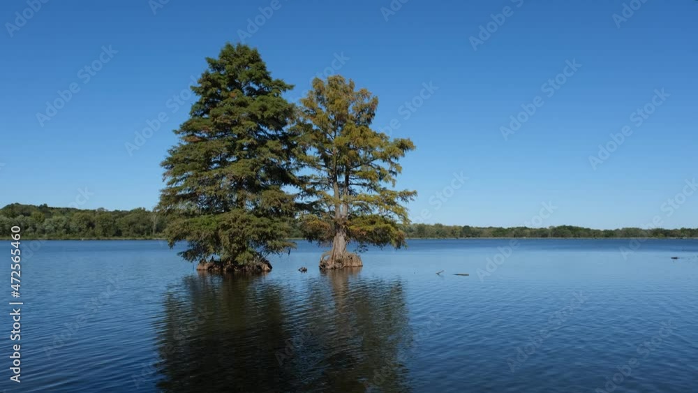 Two lonely trees in the middle of a lake Two lonely trees in the middle of a lake