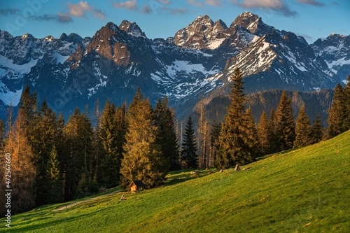 Fototapeta Naklejka Na Ścianę i Meble -  Ogólny widok na Rusinową Polanę w Tatrach bardzo znane miejsce turystyczne