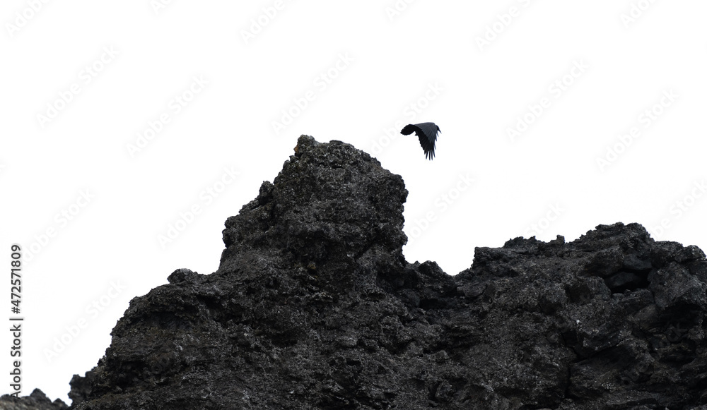 Crow leaving the lava peak over white sky