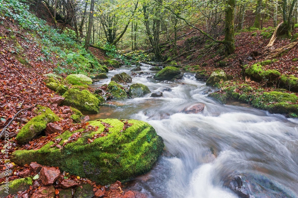 Obraz premium Autumnal rains