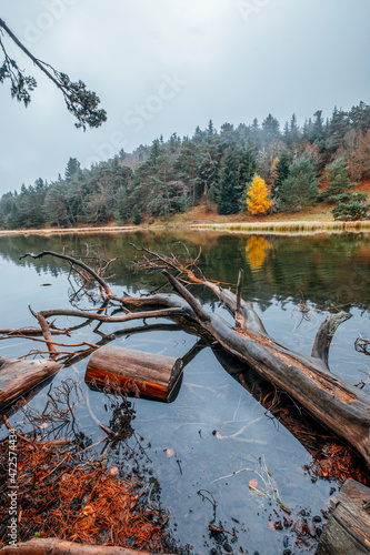 Bassa d'Oles lake with fog during autumn, located in the town of Vielha Mitg Aran, in the Pyrenees, in the Aran Valley, Catalonia. photo