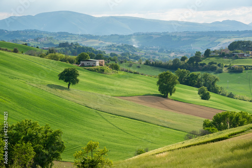 Rural landscape with farm fields and trees