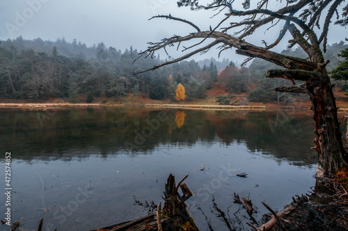 Bassa d'Oles lake with fog during autumn, located in the town of Vielha Mitg Aran, in the Pyrenees, in the Aran Valley, Catalonia. photo