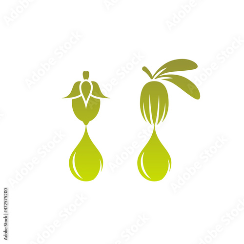 Shea nut and Jojoba nut with oil drop green icon. vitellaria beauty and cosmetics oil.