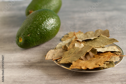 Fotografie Avocado and dried leaves on a table. Alternative medicine.