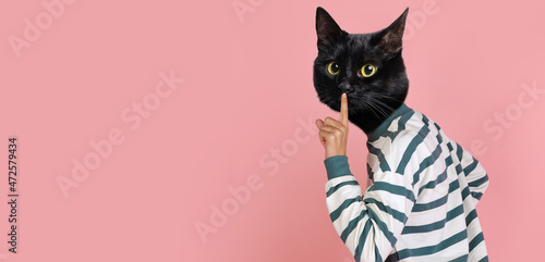 Contemporary artwork, conceptual collage. Young stylish man in striped sweater headed by cat head isolated on purple background in neon. Surrealism © master1305