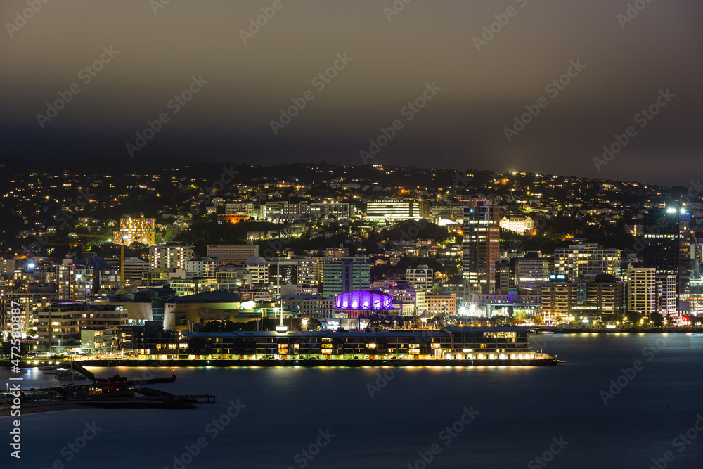 ニュージーランド　首都ウェリントンのオリエンタル・ベイの丘からウェリントン港の夜景
