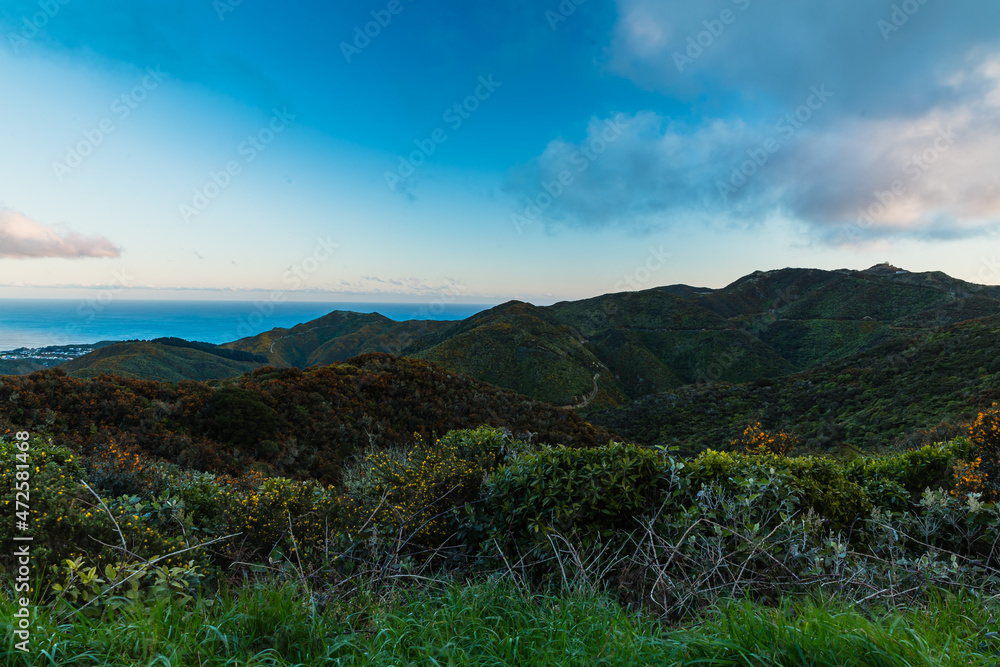 Naklejka premium ニュージーランド 首都ウェリントンのブルックリンの風車の丘から見える風景とクック海峡