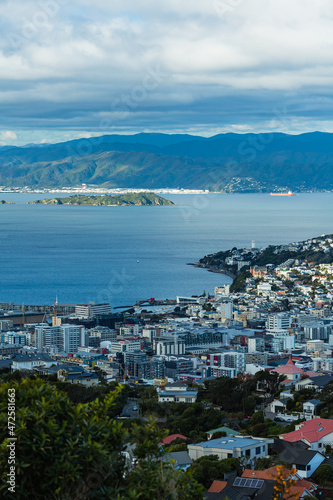 ニュージーランド 首都ウェリントンのブルックリン・アーミーバンカーの丘から見えるウェリントン港の風景とマティウ・サムズ・アイランド