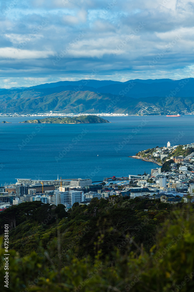 ニュージーランド　首都ウェリントンのブルックリン・アーミーバンカーの丘から見えるウェリントン港の風景とマティウ・サムズ・アイランド