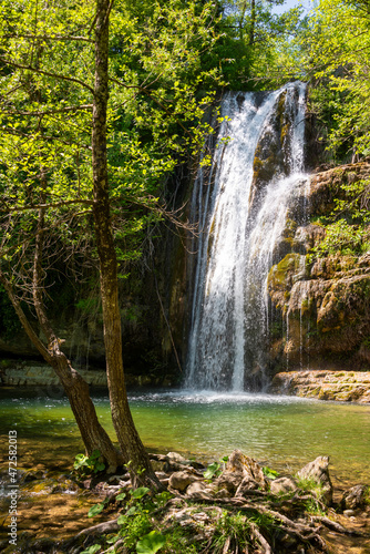 Fototapeta Naklejka Na Ścianę i Meble -  Beautiful waterfall in green forest among trees