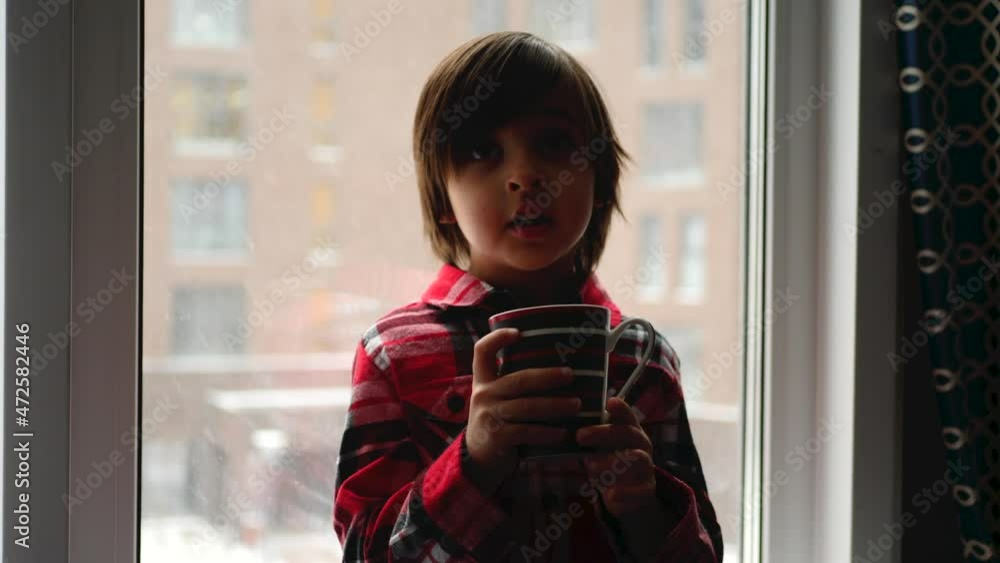 boy child in a plaid shirt is sitting by the window and drinking tea. boy child in a plaid shirt is sitting by the window and drinking tea.