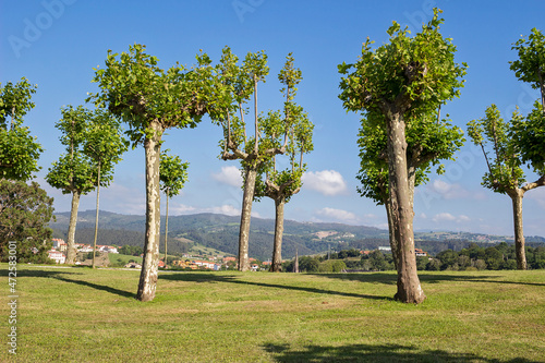 Wallpaper Mural Comillas town in Cantabria province, Spain Torontodigital.ca