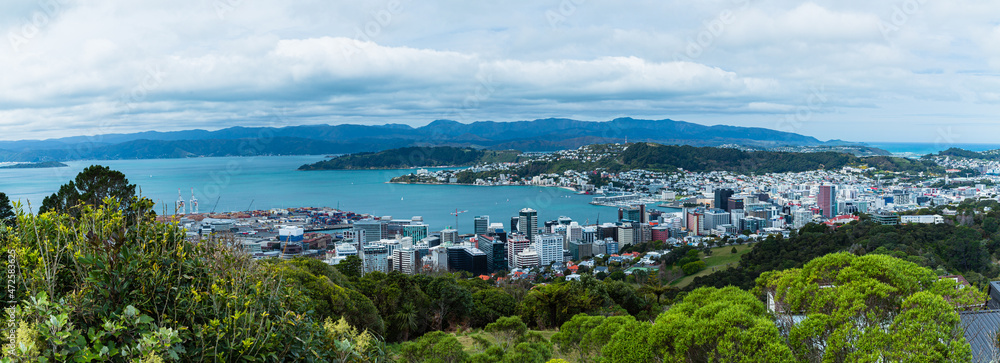 ニュージーランド　首都ウェリントンのウェリントン・タウン・ベルトの丘から見えるウェリントン港の風景とマウント・ビクトリアと街並み
