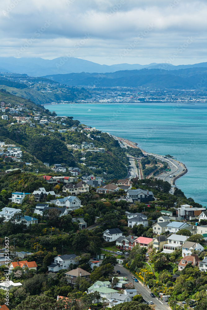 ニュージーランド　首都ウェリントンのウェリントン・タウン・ベルトの丘から見えるウェリントン港の風景と街並み