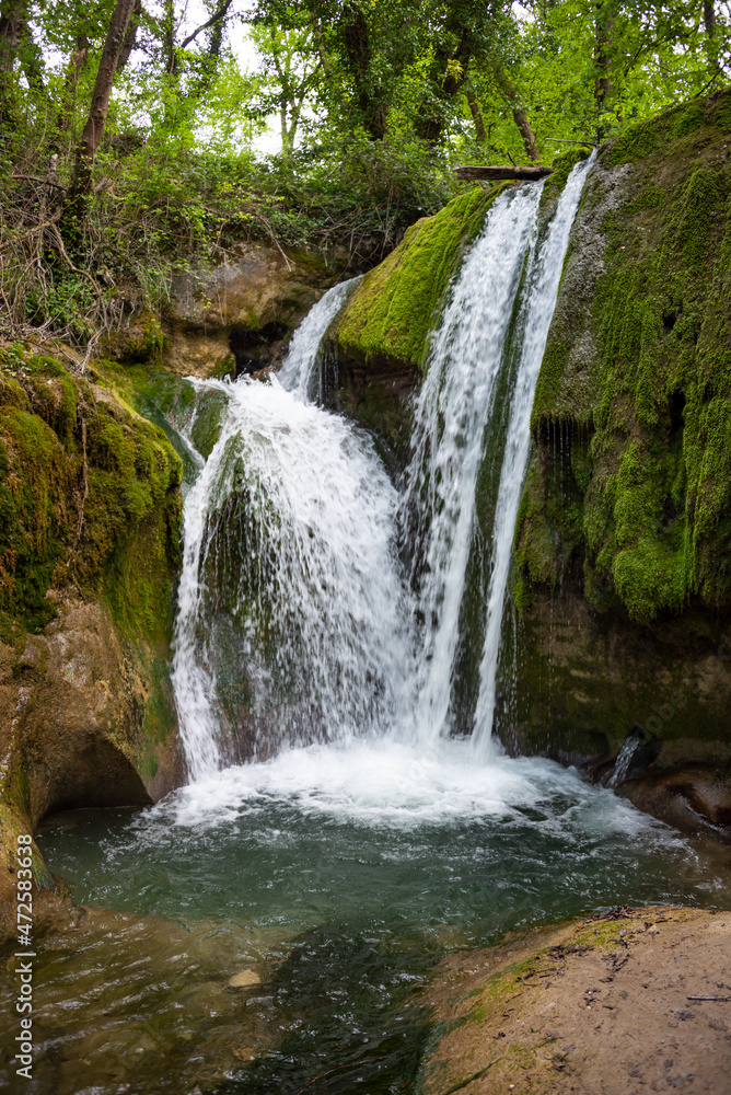 Fototapeta premium Beautiful waterfall in green forest among trees