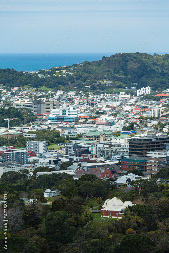 ニュージーランド　首都ウェリントンのウェリントン・タウン・ベルトの丘から見える街並み