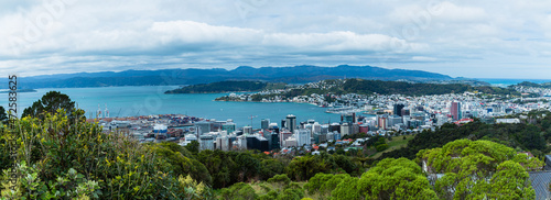 ニュージーランド 首都ウェリントンのウェリントン・タウン・ベルトの丘から見えるウェリントン港の風景とマウント・ビクトリアと街並み