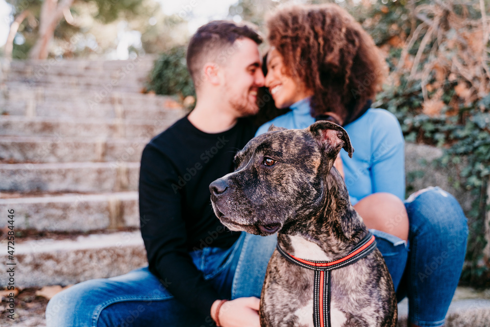 Dog looking away with couple sitting in background on steps Dog looking away with couple sitting in background on steps