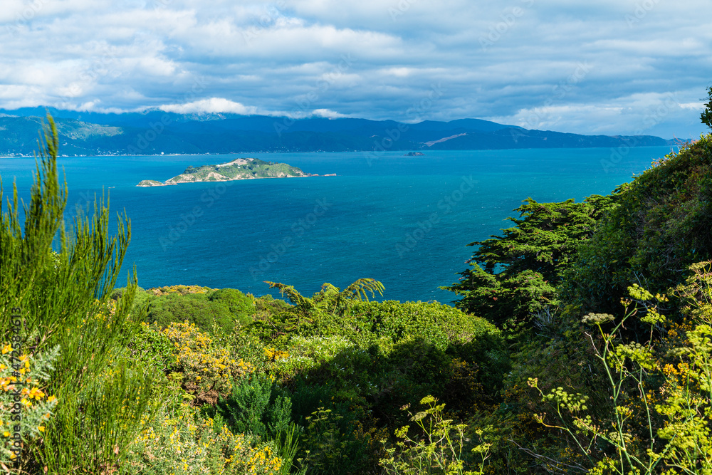 ニュージーランド　首都ウェリントンのギルバード・ブッシュ保護区から見えるウェリントン湾とマティウ・サムズ・アイランド