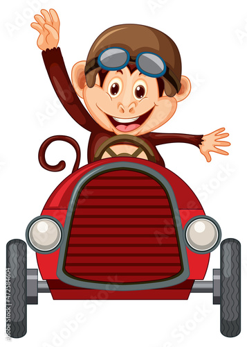 Little monkey driving race car on white background