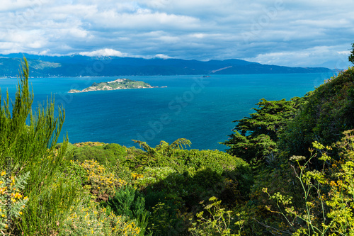ニュージーランド 首都ウェリントンのギルバード・ブッシュ保護区から見えるウェリントン湾とマティウ・サムズ・アイランド