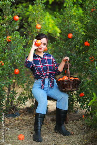 Young asian woman gardener in red plaid shirt smiling and  woman gardener picking organic orange in a orange orchard, harvesting ripe orange crop. Agriculture harvesting and plantation concept. © Narin Sapaisarn