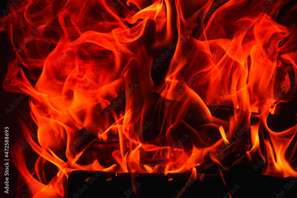 Fire. Fire texture. Burning wood in the fireplace. Close-Up Of Fire In The Dark. Fire flames burning isolated on black background. Fire. Fire texture. Burning wood in the fireplace. Close-Up Of Fire In The Dark. Fire flames burning isolated on black background.