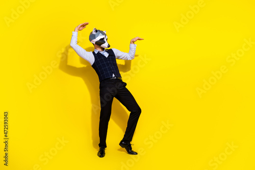 Profile photo of carefree funny man dance wear raccoon polygonal mask vest isolated yellow color background
