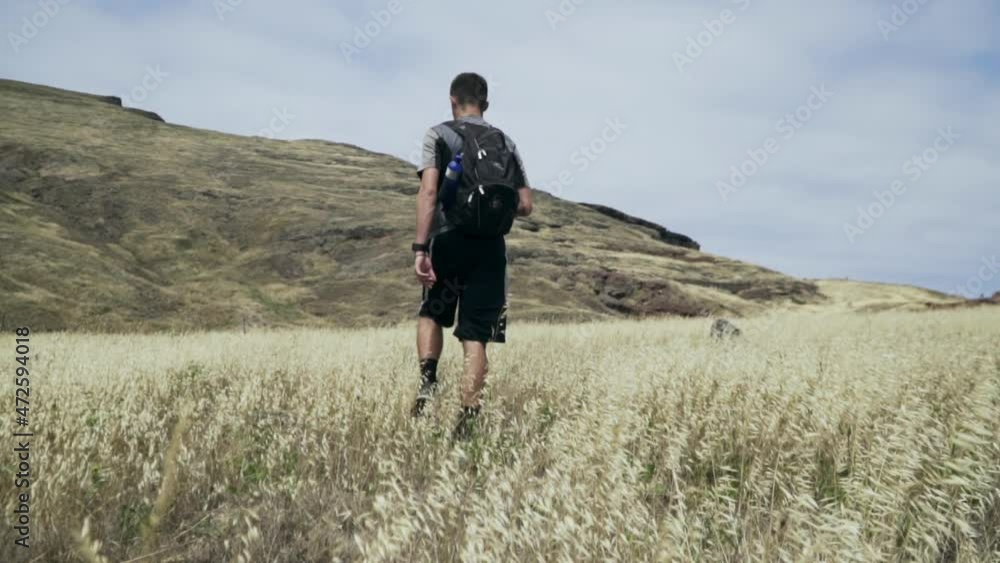 Slow motion shot following man walking through golden field; Madeira Portugal Slow motion shot following man walking through golden field; Madeira Portugal