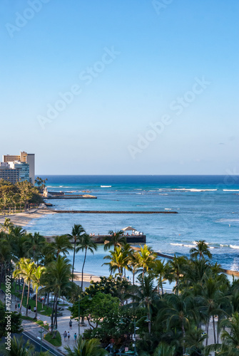 Aerial view of palm trees on the beach, Waikiki Beach, Honolulu, Oahu, Hawaii Islands, USA © Focused Adventures