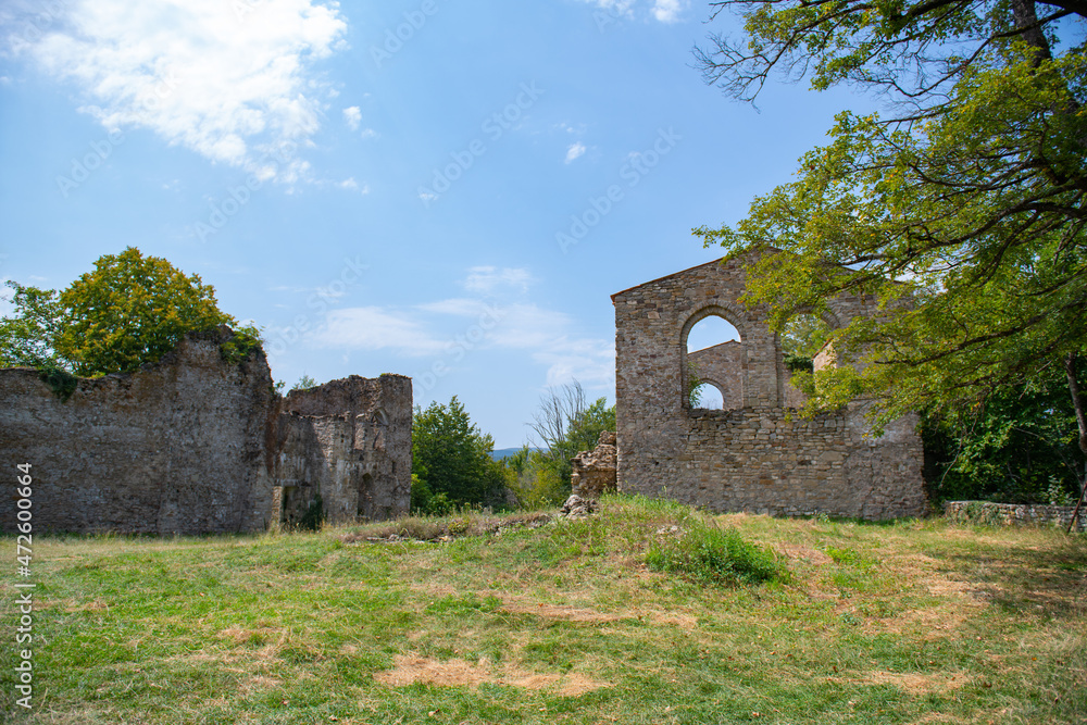 the destroyed fortress wall was overgrown with grass