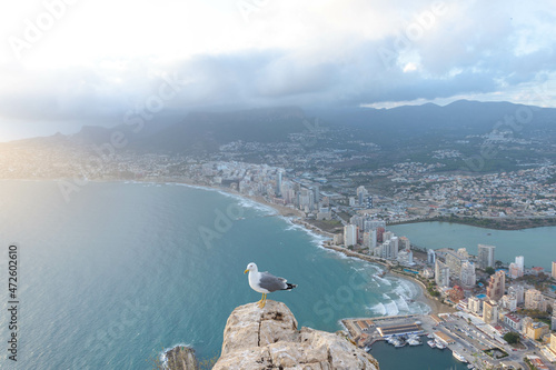 FAUNA-CALPE