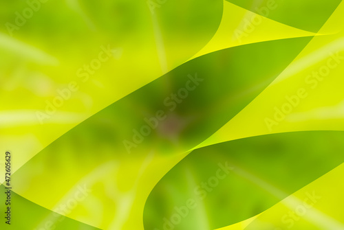 Graphic background is light green .Modern looking digital curve art of abstract moving waves in colorful gradients