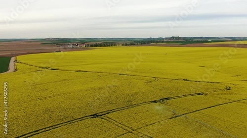 Irrigation of a rapeseed field in Valladolid, Spain. 4K Drone. Aerial Dolly In Footage