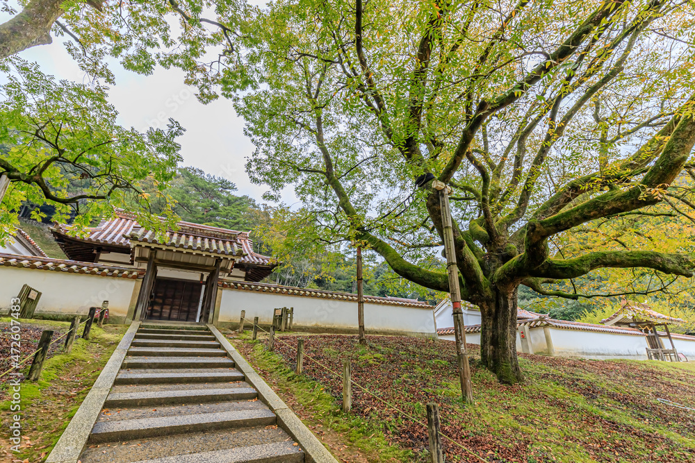 秋の旧閑谷学校　岡山県備前市　Former Shizutani School in Autumn. Okayama-ken Bizen city