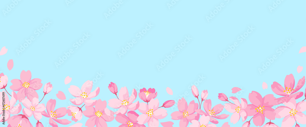 桜の花の装飾フレーム　正方形サイズ　デザイン用のベクター素材　水色の背景