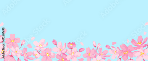 桜の花の装飾フレーム　正方形サイズ　デザイン用のベクター素材　水色の背景