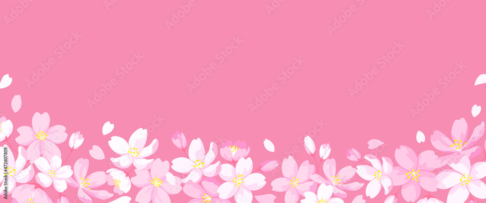 桜の花で装飾したデザインフレーム　バナーサイズ　春のテンプレート素材　ピンクの背景