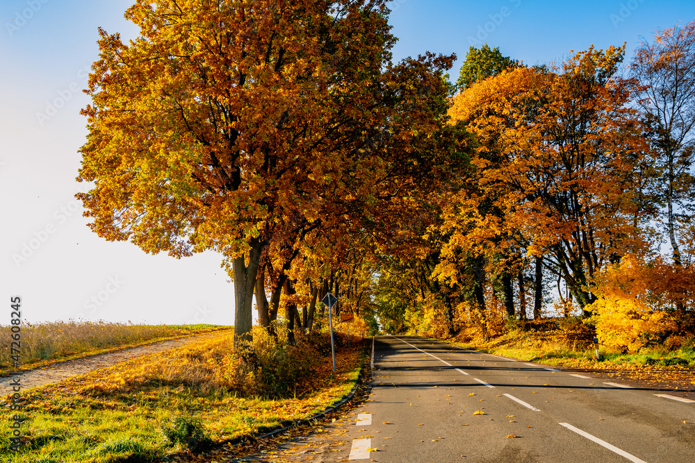 Fototapeta premium Straße