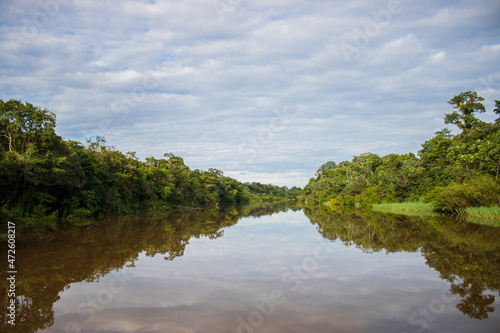 The beautiful waters of the Tahuayo River  which reflect the clouds in the sky and the green trees of the Amazon jungle  generating beautiful landscapes  a beautiful place to travel