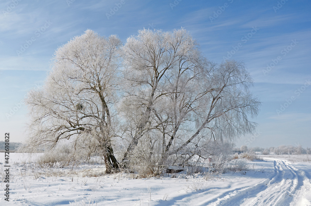 Country road through the snow-white forest on a winter frosty day. Snow in the winter frosty forests. Snowy weather. Winter snowy forest. Country road through the snow-white forest on a winter frosty day. Snow in the winter frosty forests. Snowy weather. Winter snowy forest.