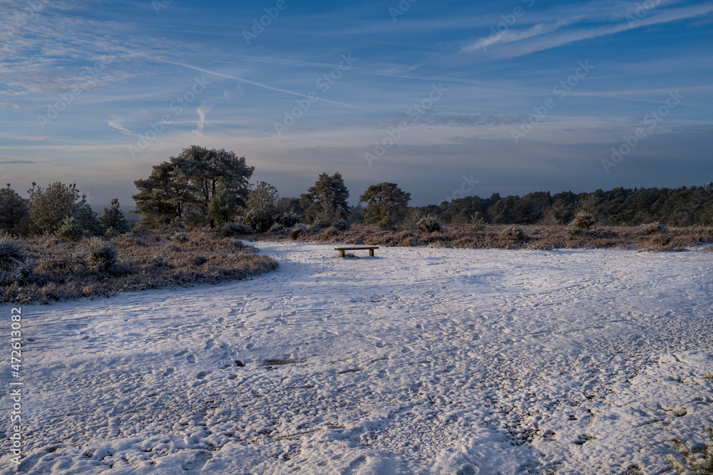 Hindhead common morning walk in the snow