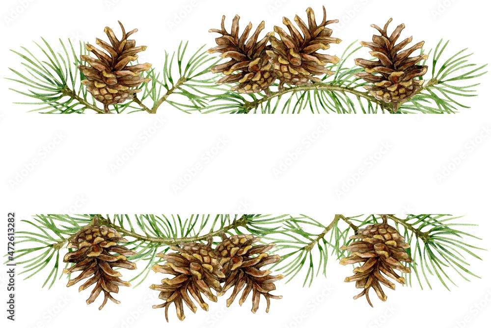 Naklejka premium Christmas banner of spruce branches and cones. Watercolor illustration isolated on white background.