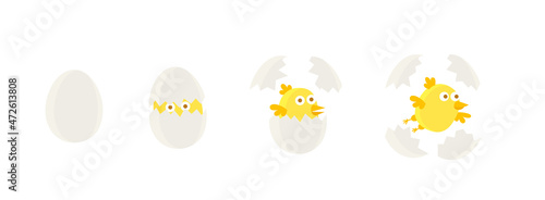 The chick hatches from the egg. Vector illustration.