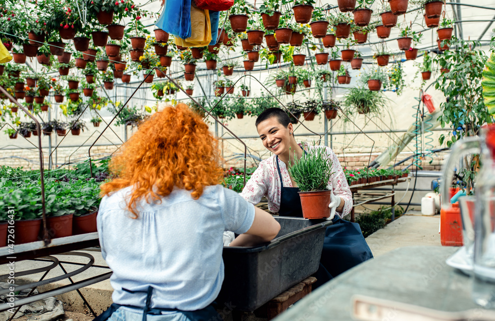 Obraz premium Two female florists working with flowers in a greenhouse.