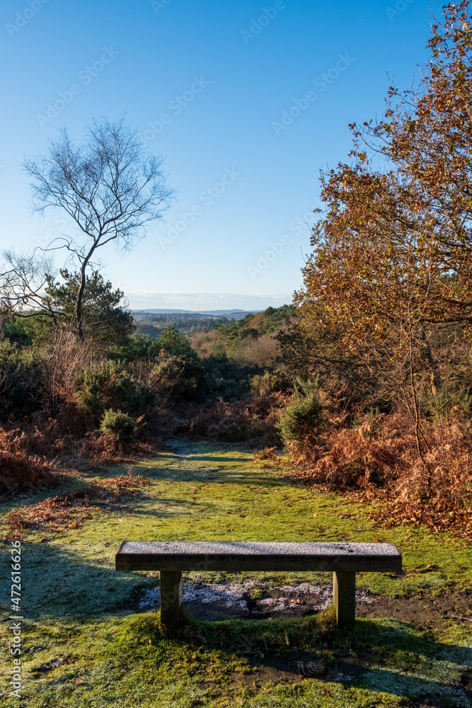 Hindhead common looking towards the South Downs Hindhead common looking towards the South Downs