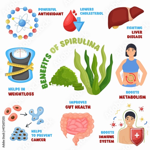 Spirulina algae benefits, superfood for healthy eating. Seaweed, vitamins dietary supplement, vector illustration