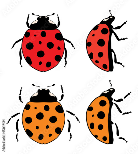 vector ladybird flat symbols