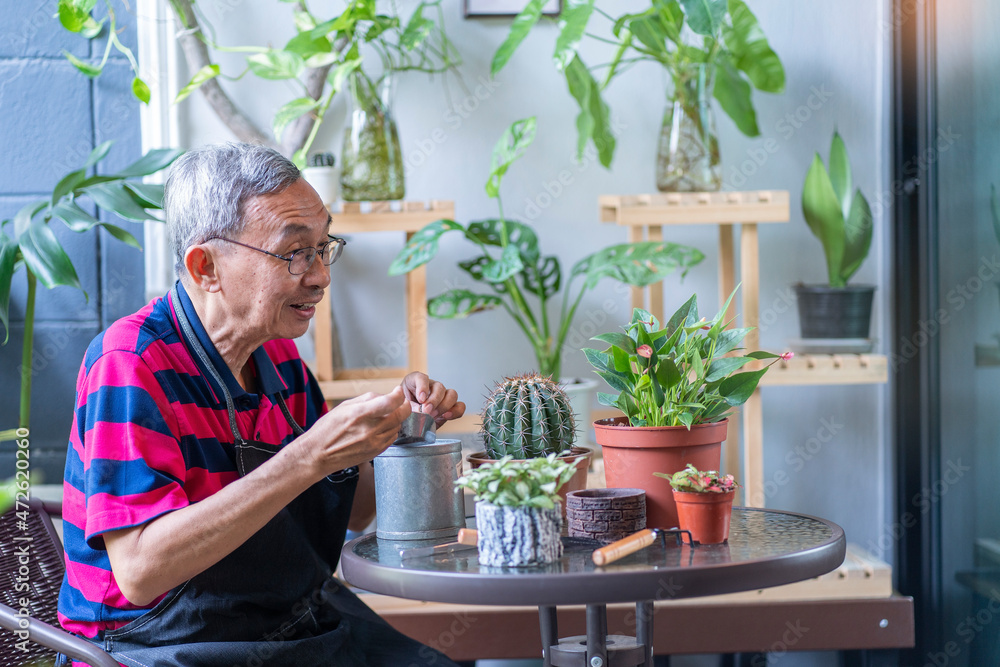 An elderly man sitting and decorating a tree enjoys his hobby planting trees in his backyard. An elderly man sitting and decorating a tree enjoys his hobby planting trees in his backyard.